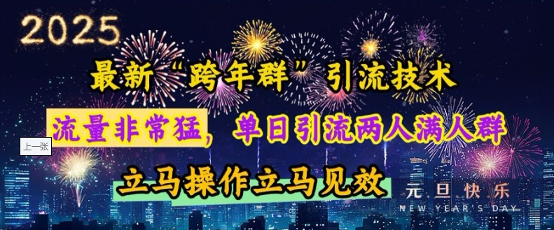 最新“跨年群”引流，流量非常猛，单日引流两人满人群，立马操作立马见效【揭秘】-皮皮网创