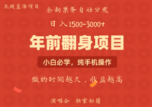 日入1000+ 娱乐项目 全国市场均有很大利润 长久稳定 新手当日变现-皮皮网创