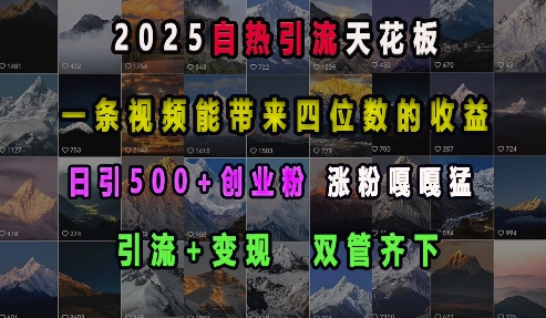 2025自热引流天花板，一条视频能带来四位数的收益，引流+变现双管齐下，日引500+创业粉，涨粉嘎嘎猛-皮皮网创