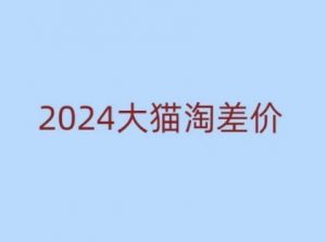 2024版大猫淘差价课程，新手也能学的无货源电商课程-皮皮网创