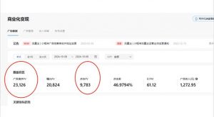 抖音雪花无人直播，一天躺赚3000+，0粉手机可搭建，不违规不限流，小白...-皮皮网创