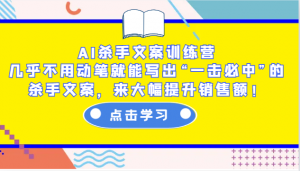 AI杀手文案训练营:几乎不用动笔就能写出“一击必中”的杀手文案,来大幅提升销售额!-皮皮网创