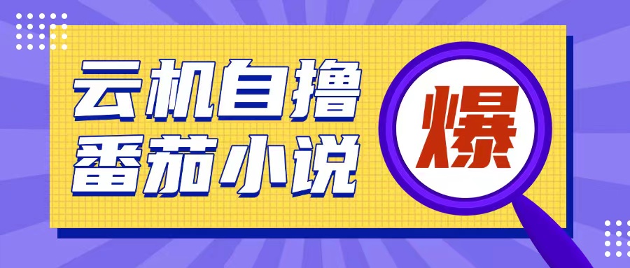 首发云手机自撸小说玩法，10块钱成本可撸200+收益操作简单【揭秘】-皮皮网创