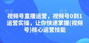 视频号直播运营，视频号0到1运营实操，让你快速掌握(视频号)核心运营技能-皮皮网创