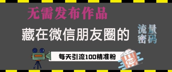 藏在微信朋友圈的流量密码，无需发布作品，单日引流100+精准创业粉【揭秘】-皮皮网创
