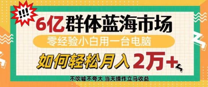 6亿群体蓝海市场，零经验小白用一台电脑，如何轻松月入过w【揭秘】-皮皮网创