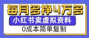小红书虚拟资料项目,0成本简单复制,每个月多挣1W【揭秘】-皮皮网创