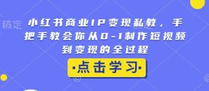 小红书商业IP变现私教,手把手教会你从0-1制作短视频到变现的全过程-皮皮网创