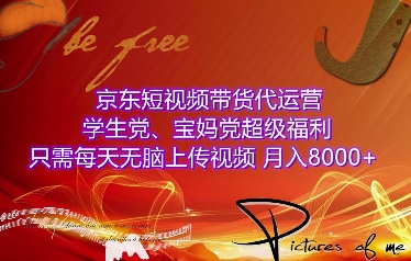 京东短视频带货代运营，学生党、宝妈党超级福利，只需每天无脑上传视频，月入8000+【仅揭秘】-皮皮网创
