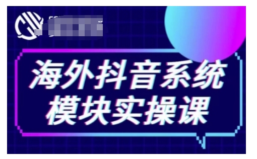 海外抖音Tiktok系统模块实操课，TK短视频带货，TK直播带货，TK小店端实操等-皮皮网创