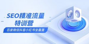 SEO精准流量特训营,百度微信抖音小红书全覆盖,带你搞懂搜索优化核心技巧-皮皮网创