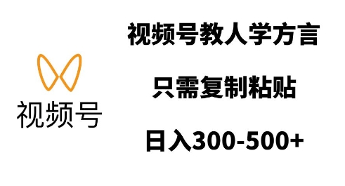 视频号教人学方言，只需复制粘贴，日入多张-皮皮网创