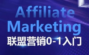 ​​​​​​Affiliate Marketing联盟营销0-1入门，联盟营销基本逻辑 联盟平台逻辑及联盟客逻辑全面详解-皮皮网创