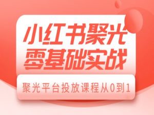 小红书聚光零基础实战，聚光平台投放课程从0到1-皮皮网创