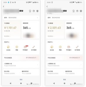 2025视频号蓝海超级暴利自动爆单术1.0 ,小白褔音 简单剪辑 不直播 不挂车-皮皮网创