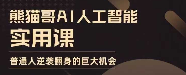 AI人工智能实用课，实在实用实战，普通人逆袭翻身的巨大机会-皮皮网创