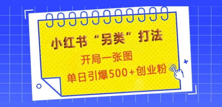 小红书“另类”打法，开局一张图，单日引爆500+精准创业粉【揭秘】-皮皮网创