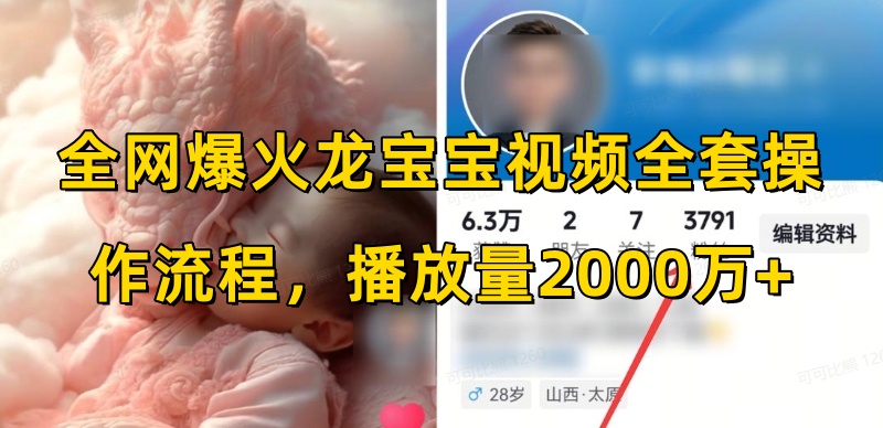 全网爆火龙宝宝视频全套操作流程，播放量2000万+-皮皮网创
