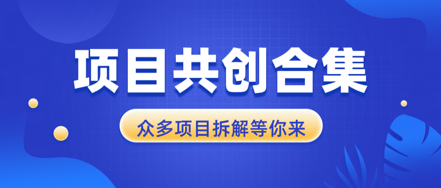 项目共创合集，从0-1全过程拆解，让你迅速找到适合自已的项目-皮皮网创