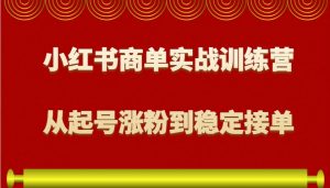 小红书商单实战训练营,从0到1教你如何变现,从起号涨粉到稳定接单,适合新手-皮皮网创