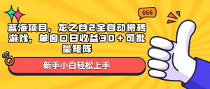 蓝海项目，龙之谷2全自动搬砖游戏，单窗口日收益30＋可批量矩阵-皮皮网创