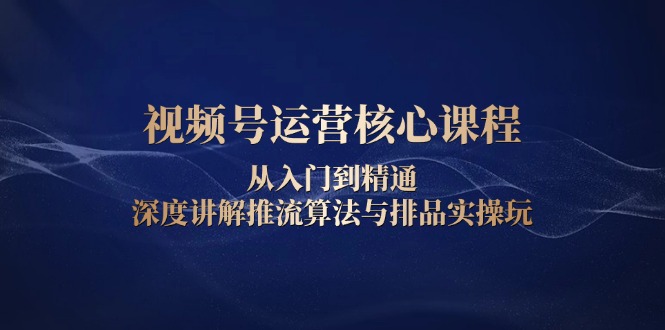 视频号运营核心课程，从入门到精通，深度讲解推流算法与排品实操玩-皮皮网创