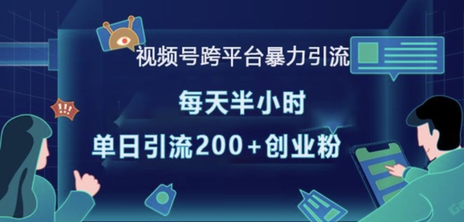 视频号跨平台暴力引流，每天半小时，单日引流200+精准创业粉-皮皮网创
