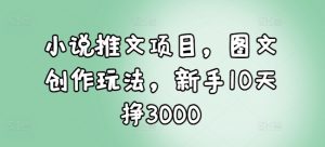 小说推文项目，图文创作玩法，新手10天挣3000-皮皮网创