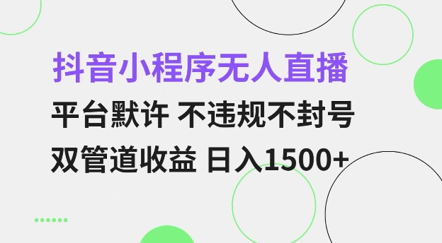 抖音小程序无人直播 平台默许 不违规不封号 双管道收益 日入多张 小白也能轻松操作【仅揭秘】-皮皮网创