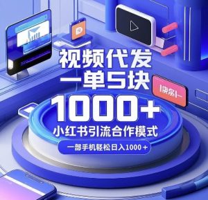 视频代发，一单5块，小红书引流合作模式，一部手机轻松日入多张【揭秘】-皮皮网创