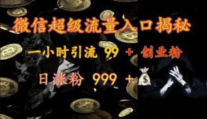 微信超级流量入口揭秘:一小时引流 99 + 创业粉,日涨粉 999 +-皮皮网创