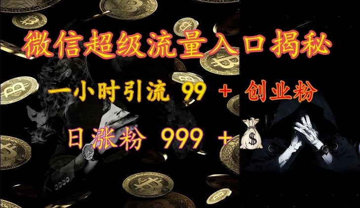 微信超级流量入口揭秘：一小时引流 99 + 创业粉，日涨粉 999 +-皮皮网创
