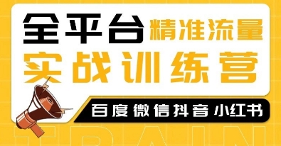 全平台精准流量实战训练营，百度微信抖音小红书SEO引流教程-皮皮网创