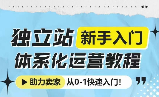 独立站新手入门体系化运营教程，助力独立站卖家从0-1快速入门!-皮皮网创