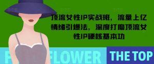 顶流女性IP实战班,流量上亿情绪引爆法,深度打磨顶流女性IP硬核基本功-皮皮网创