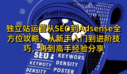 独立站运营从SEO到Adsense全方位攻略，从新手入门到进阶技巧，再到高手经验分享-皮皮网创