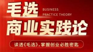 毛选商业实践论,读透《毛选》掌握创业必胜密匙-皮皮网创