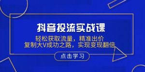 抖音投流实战课，轻松获取流量，精准出价，复制大V成功之路，实现变现翻倍-皮皮网创