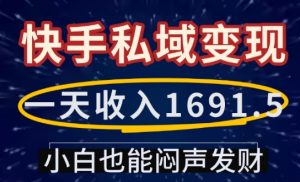 一天收入1691.5，快手私域变现，小白也能闷声发财-皮皮网创
