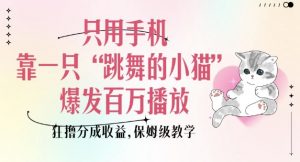 只用手机靠一只“跳舞的小猫”爆发百万播放，狂撸分成收益，保姆级教学-皮皮网创