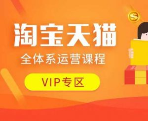 淘宝天猫全体系运营课程：店铺全系运营、动销玩法、付费推广、流量提升、擦边球玩法等等-皮皮网创