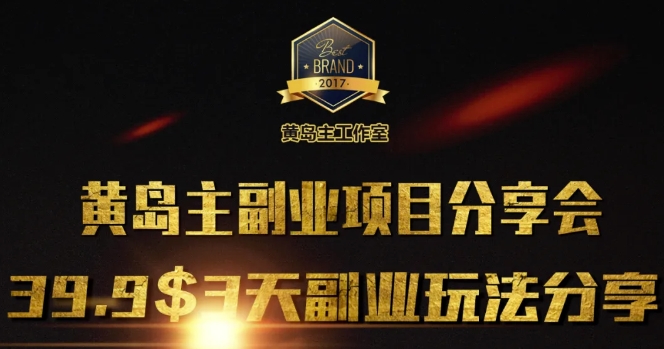黄岛主副业分享会1期：3天3个副业玩法，速度上车-皮皮网创