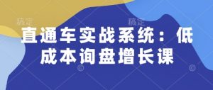 直通车实战系统：低成本询盘增长课，让个人通过技能实现升职加薪，让企业低成本获客，订单源源不断-皮皮网创