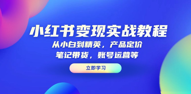 小红书变现实战教程：从小白到精英，产品定价，笔记带货，账号运营等-皮皮网创