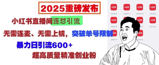 2025重磅发布：小红书直播间连怼引流，无需连麦、无需上镜，突破单号限制，暴力日引流600+-皮皮网创