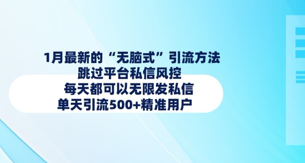 1月最新的无脑式引流方法，跳过平台私信风控，每天都可以无限发私信，单天引流500+精准用户-皮皮网创