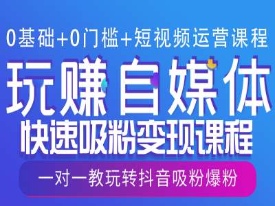 0基础+0门槛+短视频运营课程，玩赚自媒体快速吸粉变现课程，一对一教玩转抖音吸粉爆粉-皮皮网创