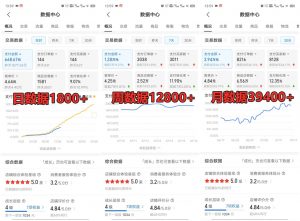 拼多多虚拟店铺项目,电脑挂机自动发货,单店日利润300+-皮皮网创