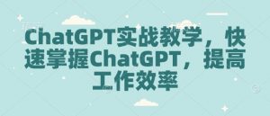 ChatGPT实战教学,快速掌握ChatGPT,提高工作效率-皮皮网创