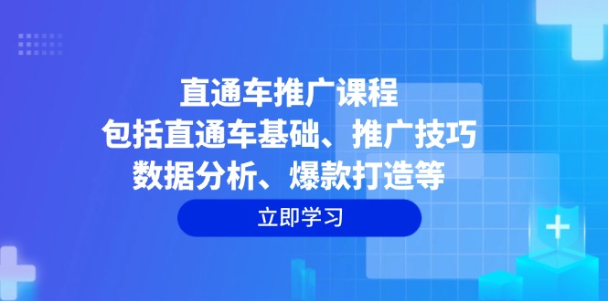 直通车推广课程：包括直通车基础、推广技巧、数据分析、爆款打造等-皮皮网创